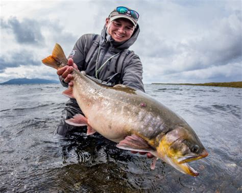alaska fly in fishing|Alaska Fly Fishing Lodge Trips & Packages .